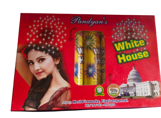 WHITE HOUSE (5 PCS)